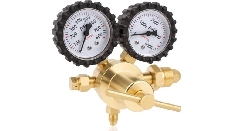 beaiguna nitrogen regulator performance