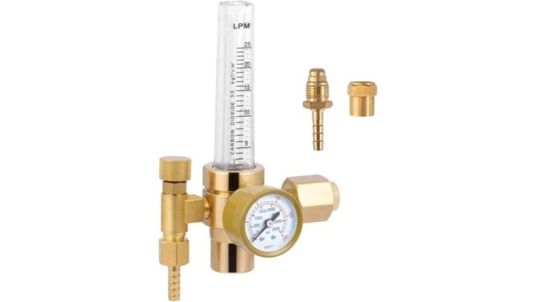 co2 gas regulator assessment