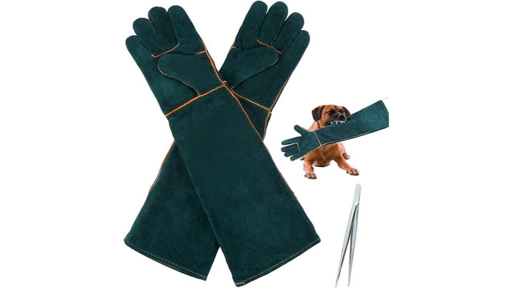 safety and comfort evaluated